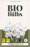 3 stuks - JUB - Crocus Jeanne d'Arc 8 bollen
