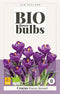 JUB - Crocus Flower Record - bio