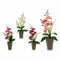 Decoratieve plant Orchidee Plastic 8 x 35 x 14 cm (12 Stuks)