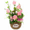 Decoratieve Bloemen Alexandra House Living Multicolour 26 x 50 x 26 cm
