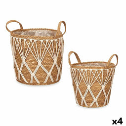 Plantenbakkenset 2 Onderdelen Natuurlijk Zeealgen (4 Stuks)