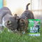 RAW PALEO Adult Cat Gesteriliseerd Rundvlees - nat kattenvoer - 100 g