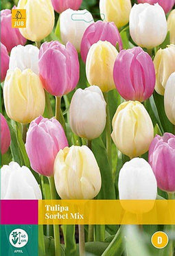 3 stuks - JUB - Tulipa Sorbet Mix 12 bollen