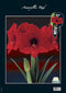 2 stuks - Baltus - Amaryllis, Rood (Steeketiket)