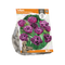 3 stuks - Baltus - Tulipa Double Late Double Negrita per 5