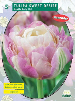 2 stuks - Baltus - Tulipa Sweet Desire per 5