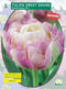 2 stuks - Baltus - Tulipa Sweet Desire per 5