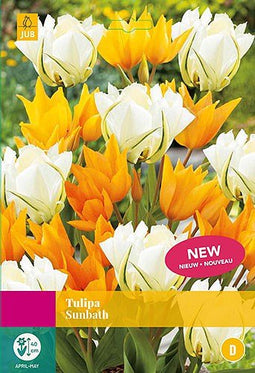 3 stuks - JUB - Tulipa Sunbath 12 bollen