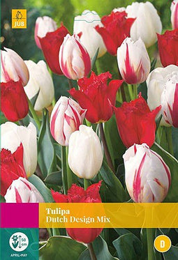 3 stuks - JUB - Tulipa Dutch Design Mix 12 bollen