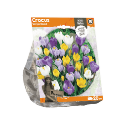 3 stuks - Baltus - Crocus Vernus Mixed per 20