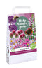 JUB - Tas Violet Friends 'Help Nature Grow'