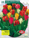 2 stuks - Baltus - Tulipa Viridiflora Mix per 25