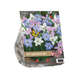 2 stuks - Baltus - Urban Flowers Baby Blue Sky per 30