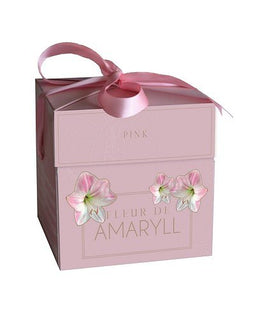 2 stuks - JUB - Fleur D'Amaryll Pink 1 bollen