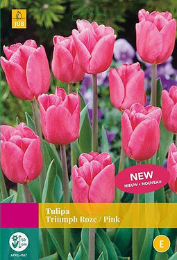 2 stuks - JUB - Tulipa Triumph roze 20 bollen