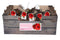 JUB - Amaryllis rood incl. label