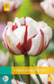 3 stuks - JUB - Tulipa Carnaval de Nice 5 bollen