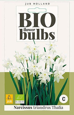 3 stuks - JUB - Narcissus triandrus Thalia 4 bollen
