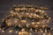 Anna's Collection - Cluster Lights 384L2,4M Led Warm White Classic