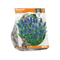 3 stuks - Baltus - Muscari Armeniacum per 20