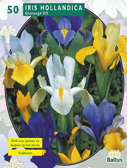 2 stuks - Baltus - Iris Hollandica per 50