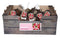 JUB - Amaryllis rood/wit incl. label