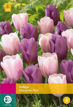 3 stuks - JUB - Tulipa Macaron mix 12 bollen