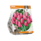 3 stuks - Baltus - Tulipa Darwin Hybrid Big Love per 5