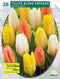 2 stuks - Baltus - Tulipa Blend Emperor per 20