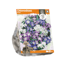 3 stuks - Baltus - Chionodoxa Mixed per 10