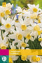 JUB - Narcissus Sailboat
