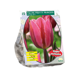 Baltus - Tulipa Pretty Princess per 15 bloembollen