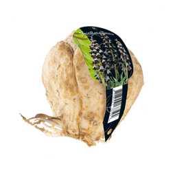 3 stuks - Baltus - Fritillaria Persica