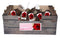 JUB - Amaryllis dubbel rood incl. label