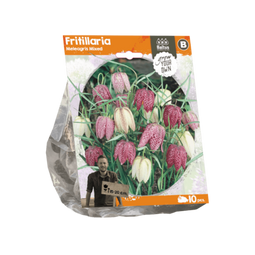 3 stuks - Baltus - Fritillaria Meleagris Mixed per 10