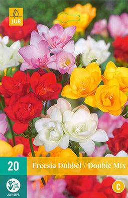JUB - Freesia dubbel mix