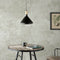 Plafondlamp Alexandra House Living Zwart