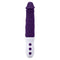 Vibrator Evolved Paars