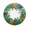 Eetbord Alfares Tropic 25,5 cm (24 Stuks)