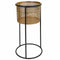 Grondlegger Alexandra House Living Zwart Gouden Metaal 24 x 50 x 24 cm Met steun