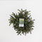 Warentuin Natuurlijk - Picea abies nidiformis 30-40 cm