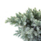 Warentuin Natuurlijk - Juniperus squamata blue star 30 cm
