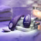 Vibrator Evolved Panty Party Paars
