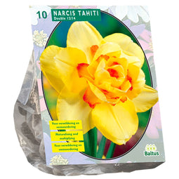 Baltus - Bollen Narcis Dubbel Tahiti 10 stuks