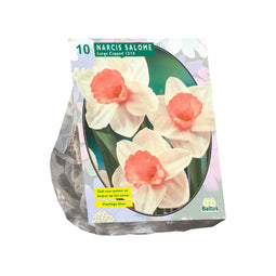 Baltus - Bollen Narcis Salome 10 stuks