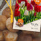 Baltus - Bollen Tulipa Darwin mix rood/wit 40 stuks