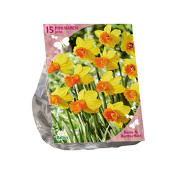 Baltus - Bollen Narcis Jetfire 15 stuks