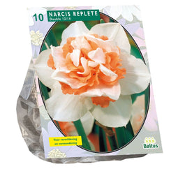 Baltus - Bollen Narcis Replete 10 stuks