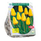 Baltus - Bollen Tulipa Apeldoorn geel 15 stuks