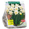 Baltus - Bollen Narcis Mount Hood 10 stuks